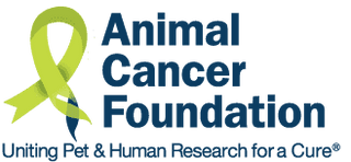 Animal Cancer Foundation