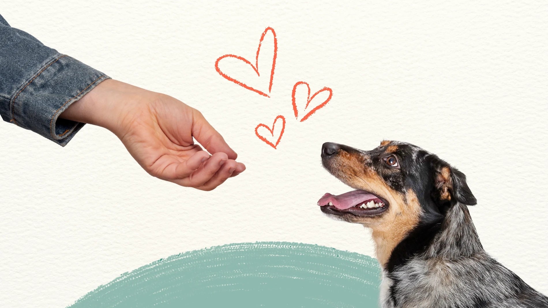 Dog looking up at a hand with heart symbols above