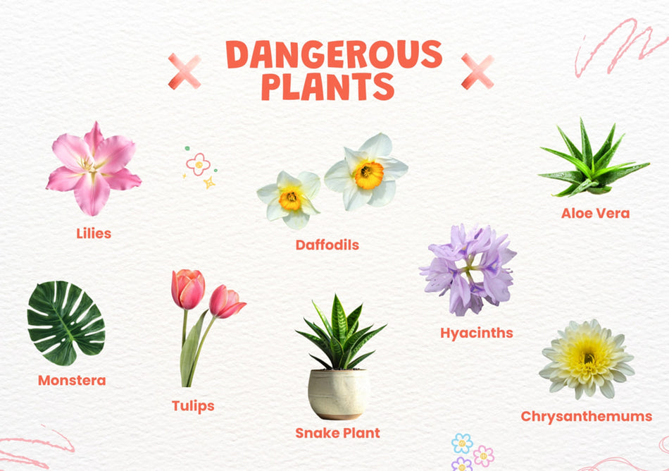 Plants That Are Dangerous for Cats