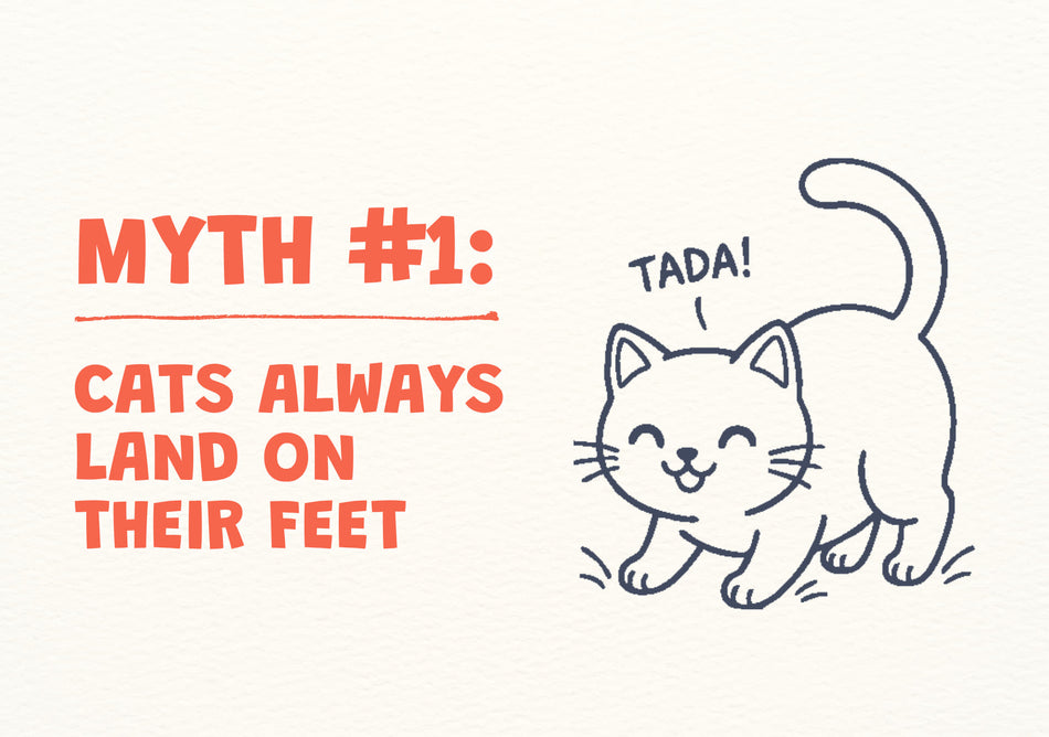 Cat myth #1