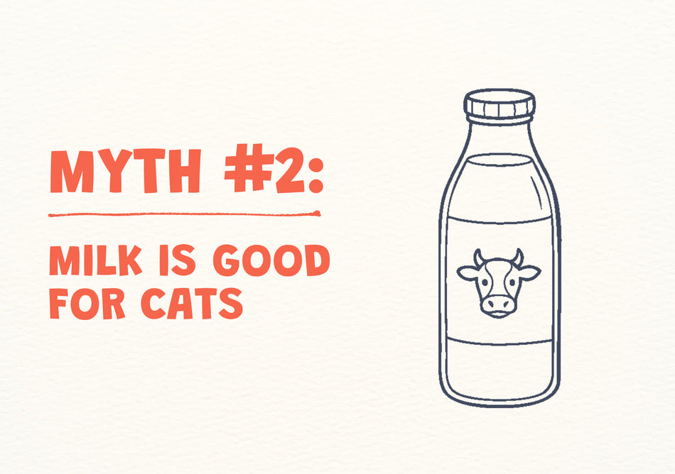 Cat myth #2