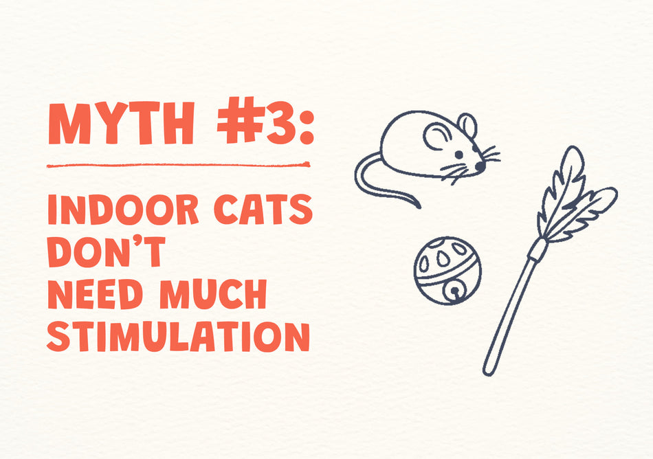 Cat myth #3