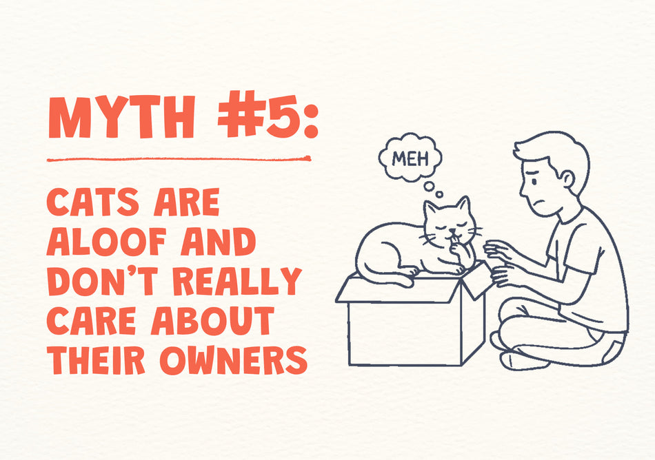 Cat myth #5