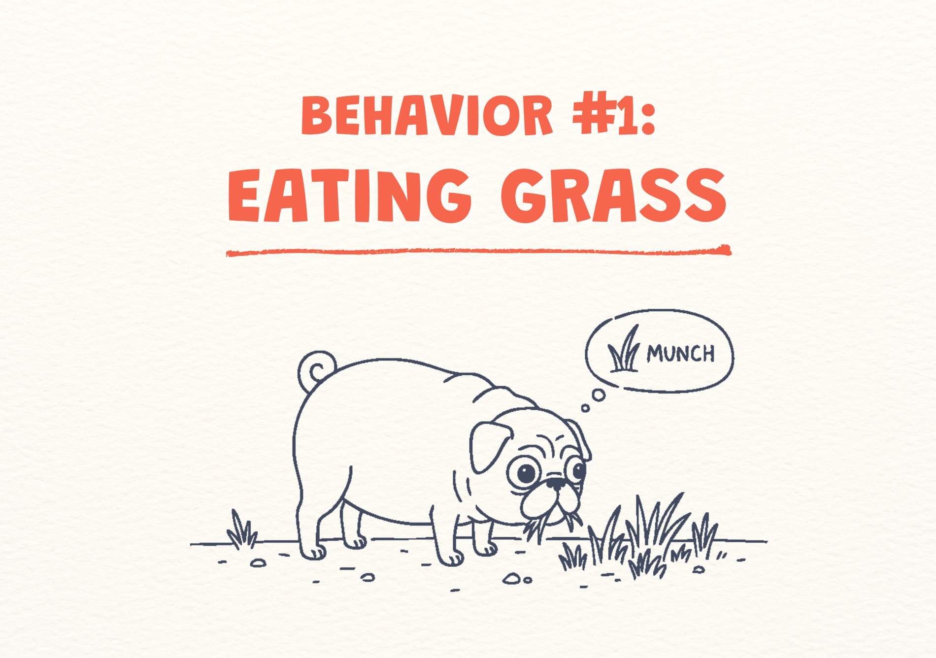 Illustration of a dog eating grass with text 'BEHAVIOR #1: EATING GRASS'