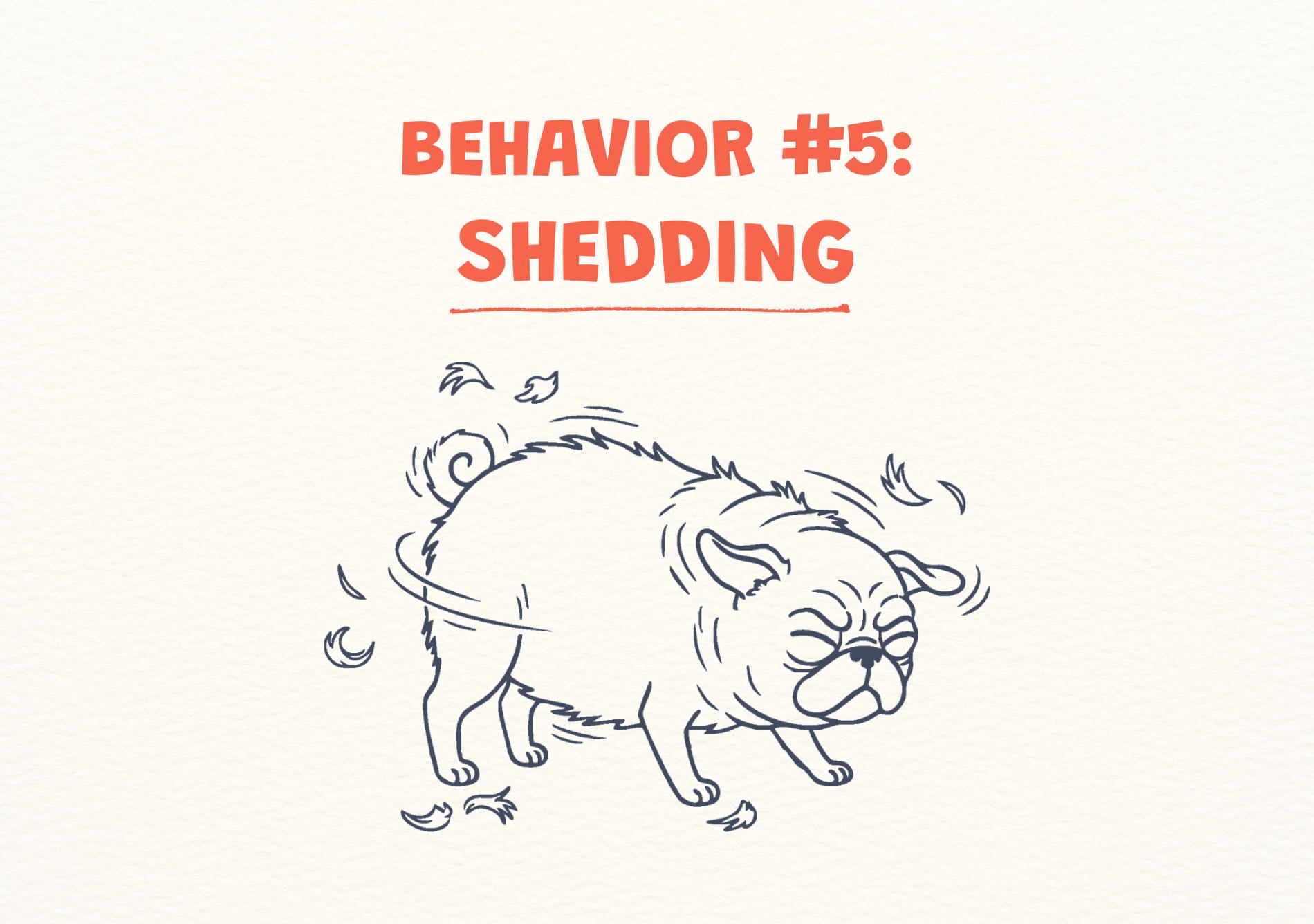 Illustration of a dog shedding with text 'BEHAVIOR #5: SHEDDING'