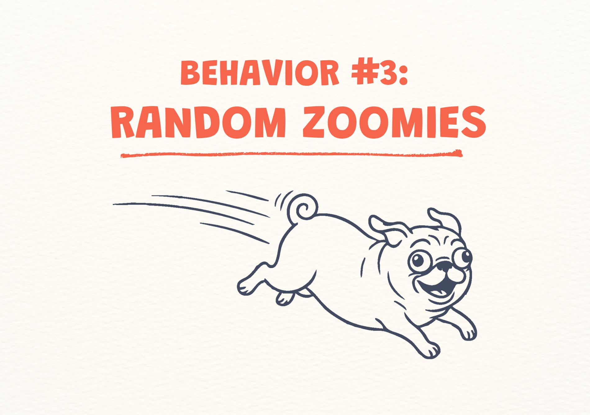 Illustration of a dog running with text 'BEHAVIOR #3: RANDOM ZOOMIES'