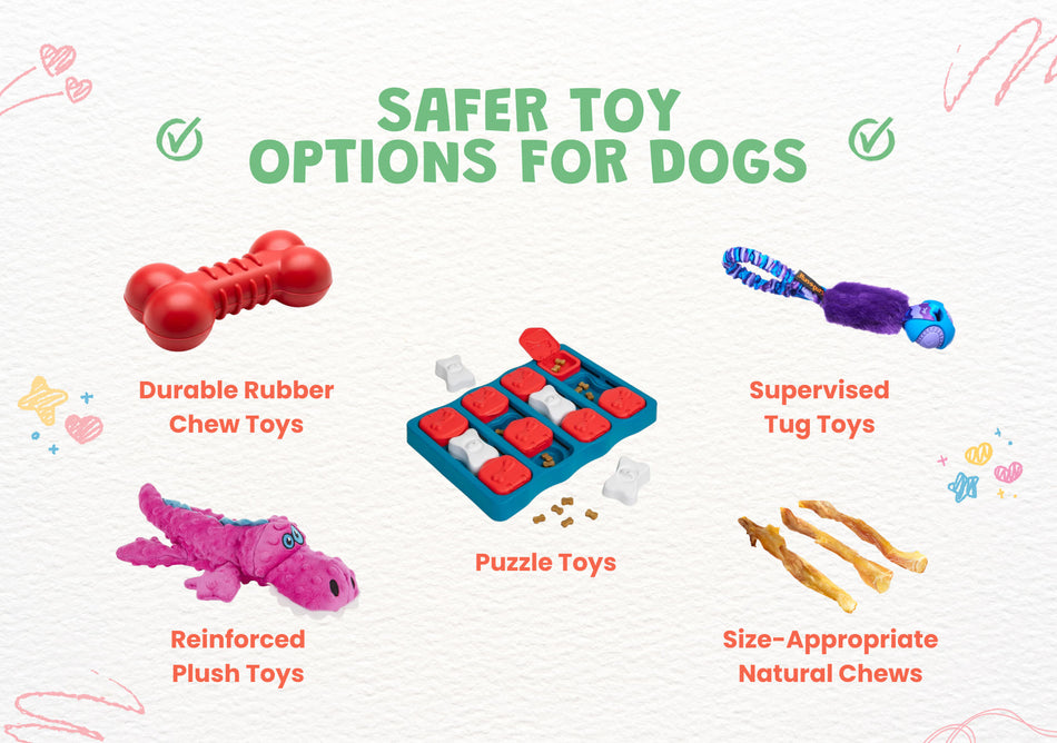 Illustration of safer toy options for dogs