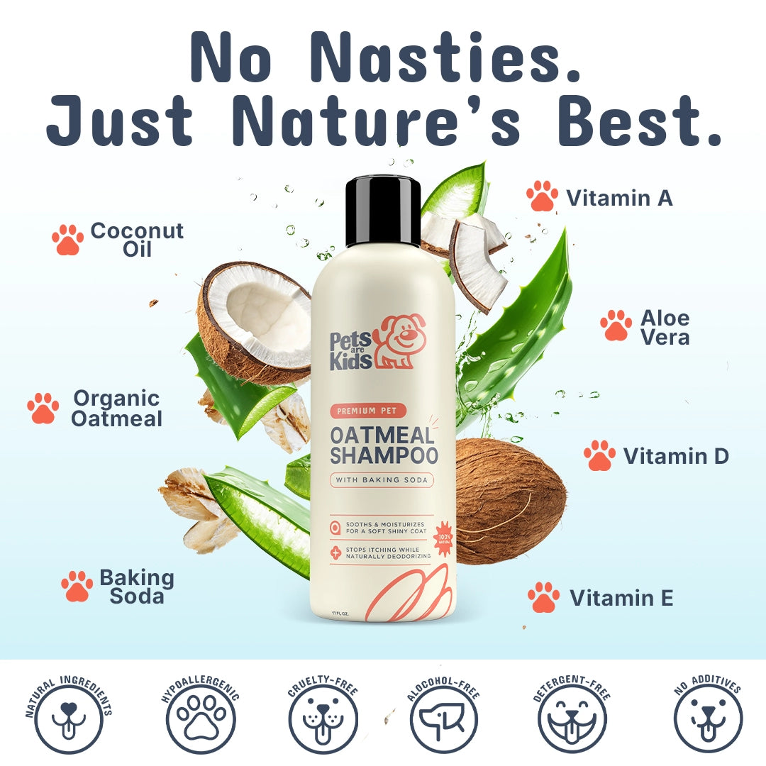 Dog chew product recommendation chart for different dog sizes