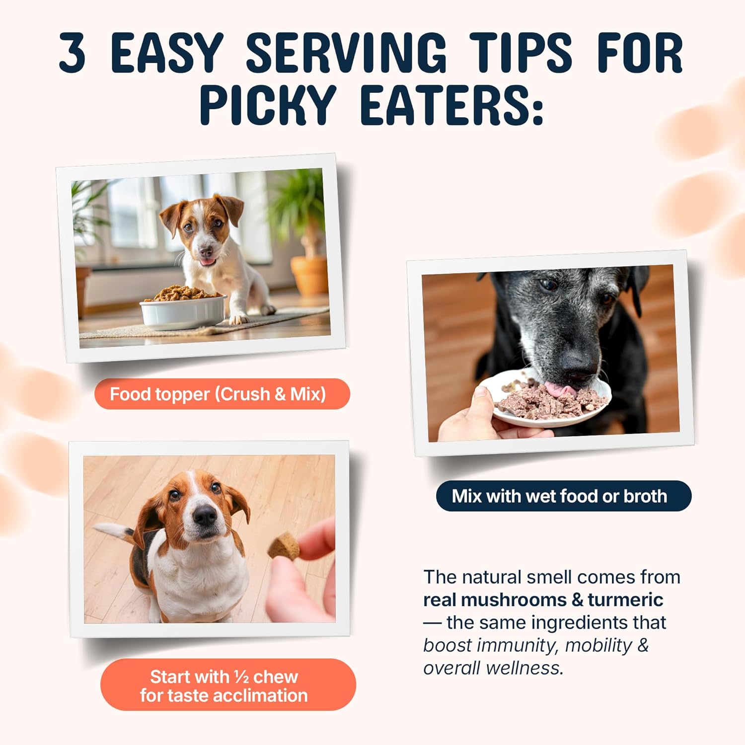 Three easy serving tips for picky eaters