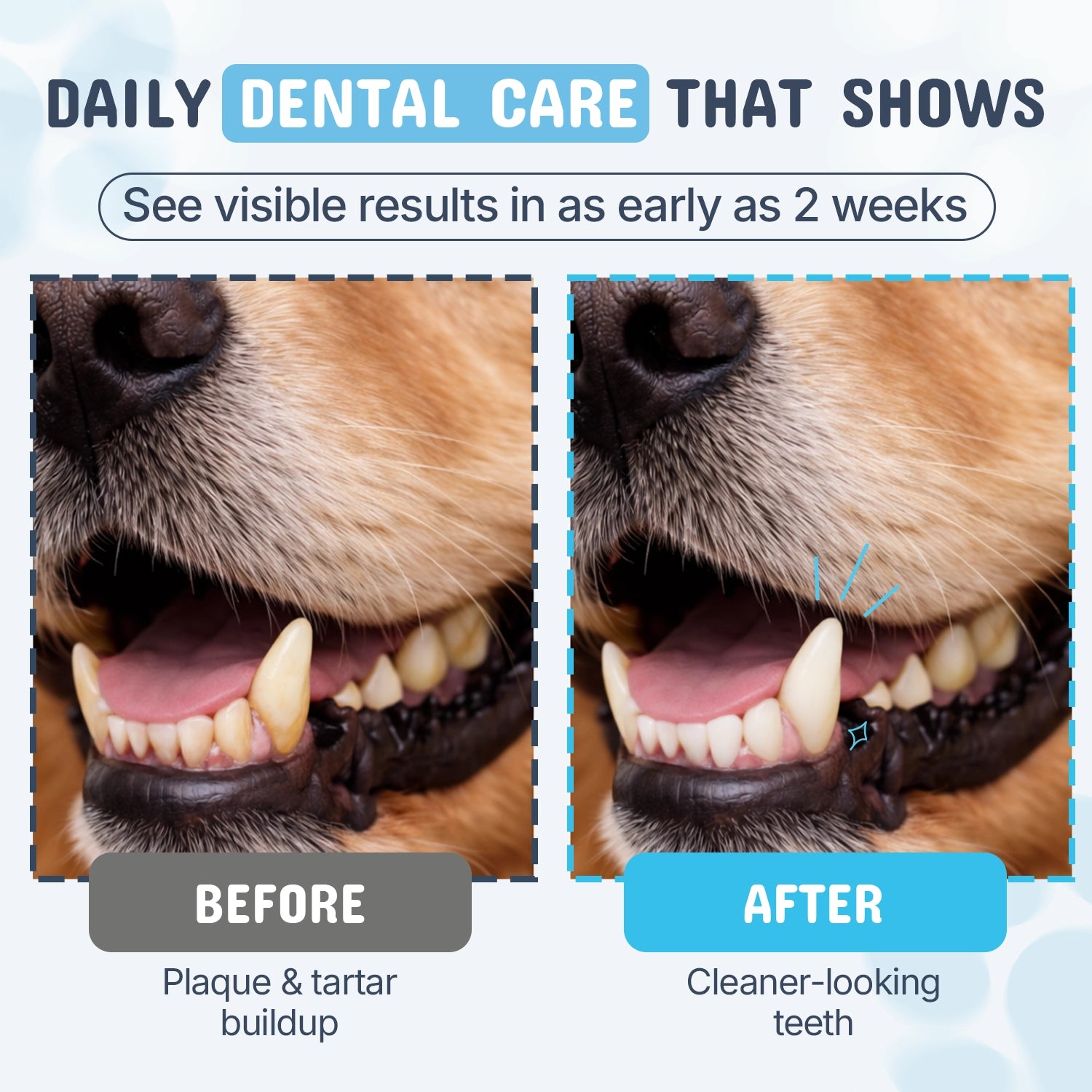 Three easy serving tips for picky eaters